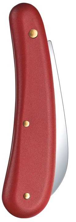  Нож Victorinox EcoLine Floral, 110 мм, 1 функция, красный