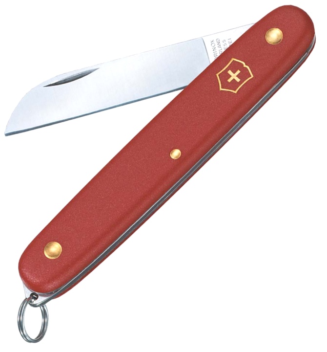  Нож Victorinox EcoLine Floral, 155 мм, 1 функция, красный